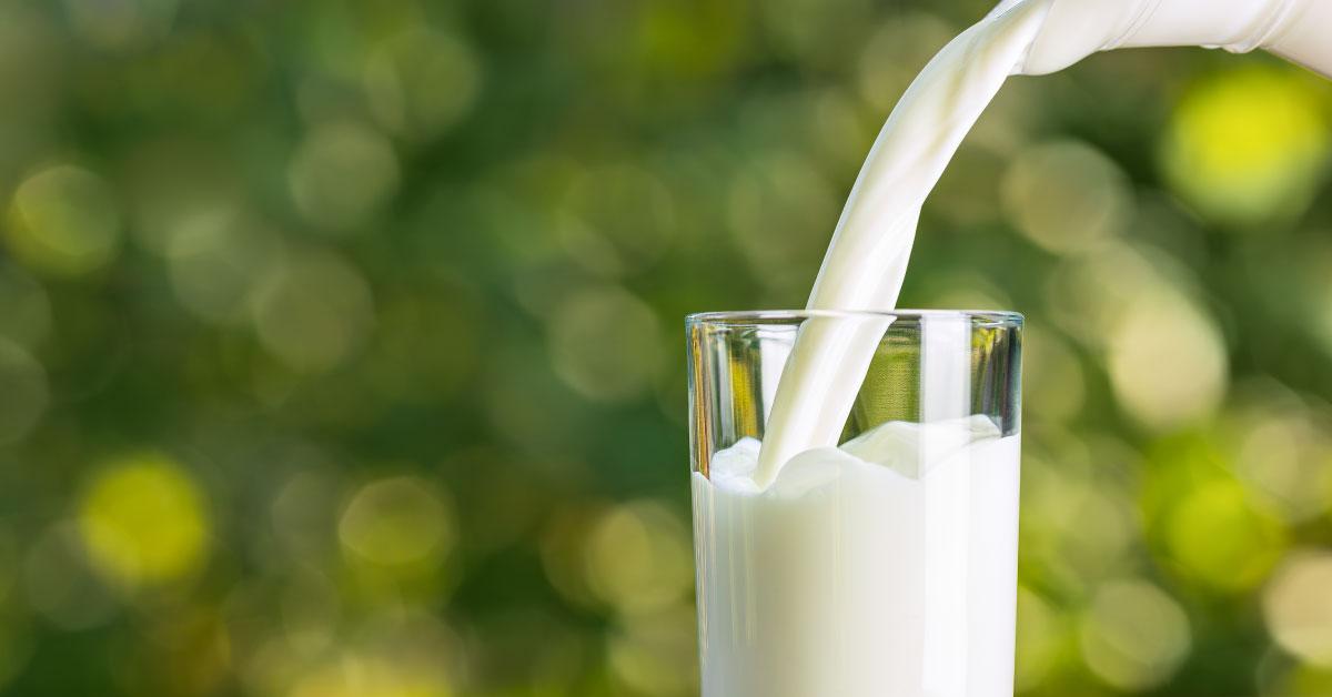 100 Years of Milk and Dairy Safety